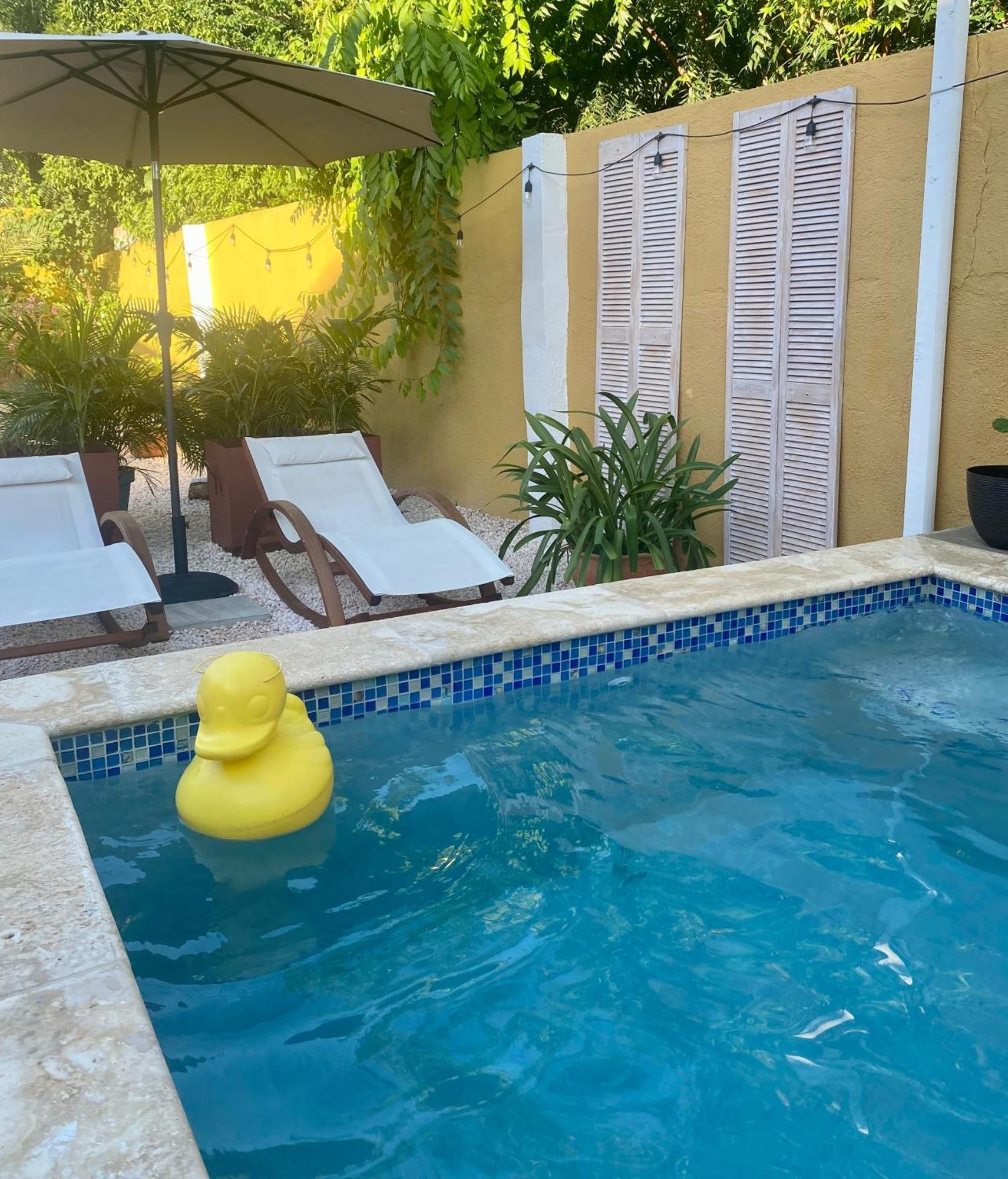 Historic Building The Palm Backyard Studio-Apartment Willemstad, Curacao Feel Home Away From Home Exteriör bild